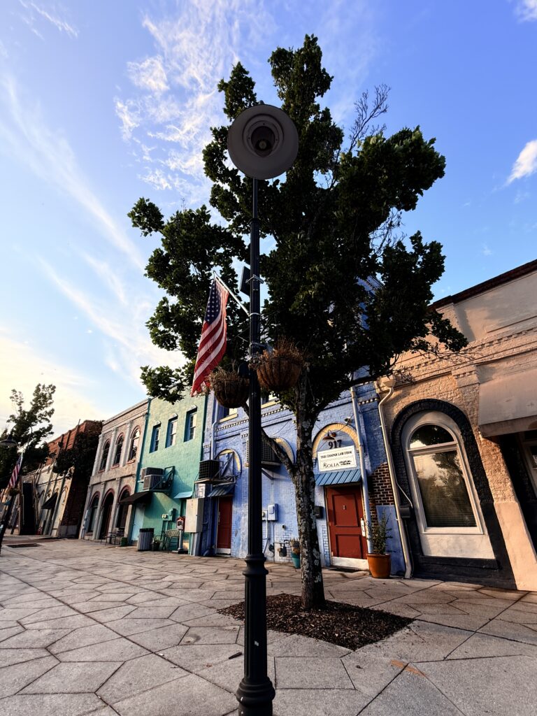 Rockdale County Business License